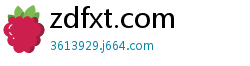 zdfxt.com